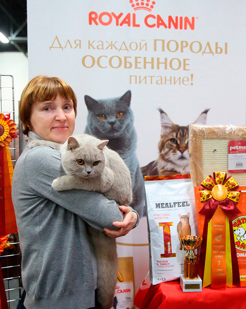 выставка кошек